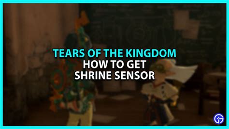 how to test the sensor tears of the kingdom|tears of kingdom shrine sensor.